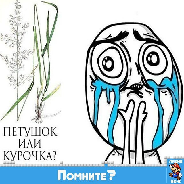 60 вещей из лихих 90-х 60 вещей из лихих 90-х 90-е, вещи, ностальгия