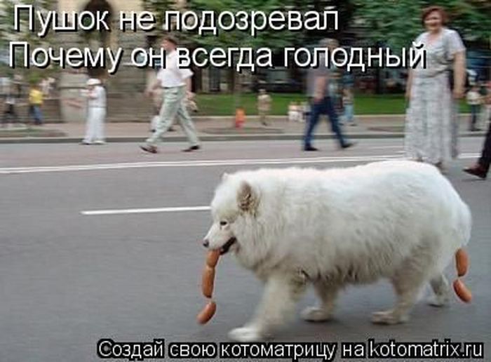 Мысли вслух :)