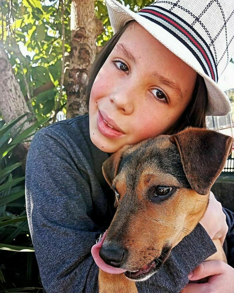 14 фото о том, как мальчик купает и прихорашивает собак, чтобы они обрели дом бродячих, изменить, Тьяго, мальчик, может, собак, проект, чтобы, хозяев, который, бразилец, устраивает, взгляд, своего, собаками, чтото, приводит, животных, 11летний, проектЭдуардо