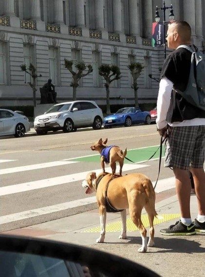 Позитивная фотоподборка 