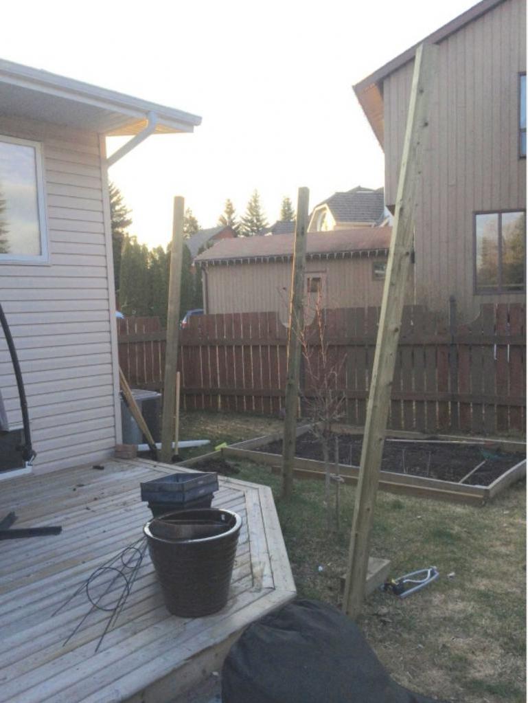 Женщине надоели любопытные соседи: она нашла неожиданный способ решения проблемы