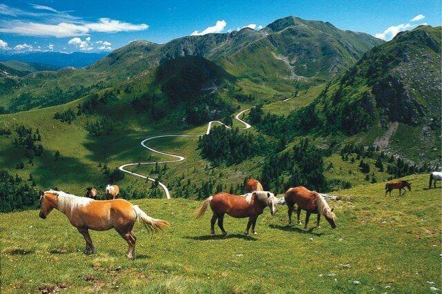 Принять ванну, как в средние века… Принять ванну, как в средние века… интересное,путешествия,туризм