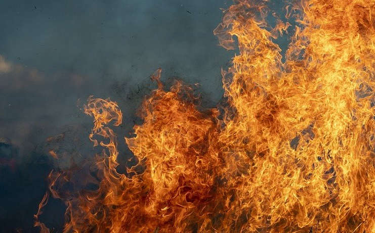 Тюменские правоохранители возбудили четыре уголовных дела из-за природных пожаров Происшествия