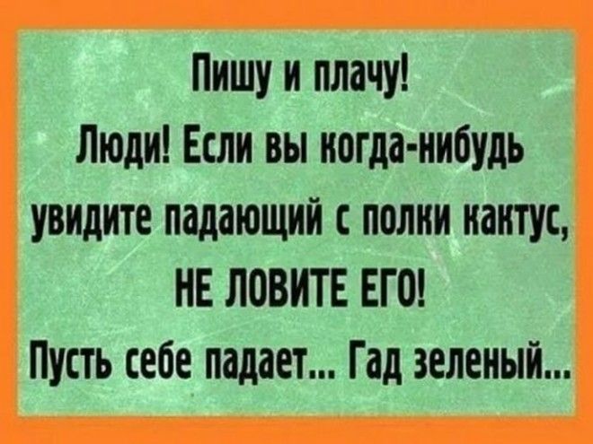 S10 уморительных историй для отличного настроения