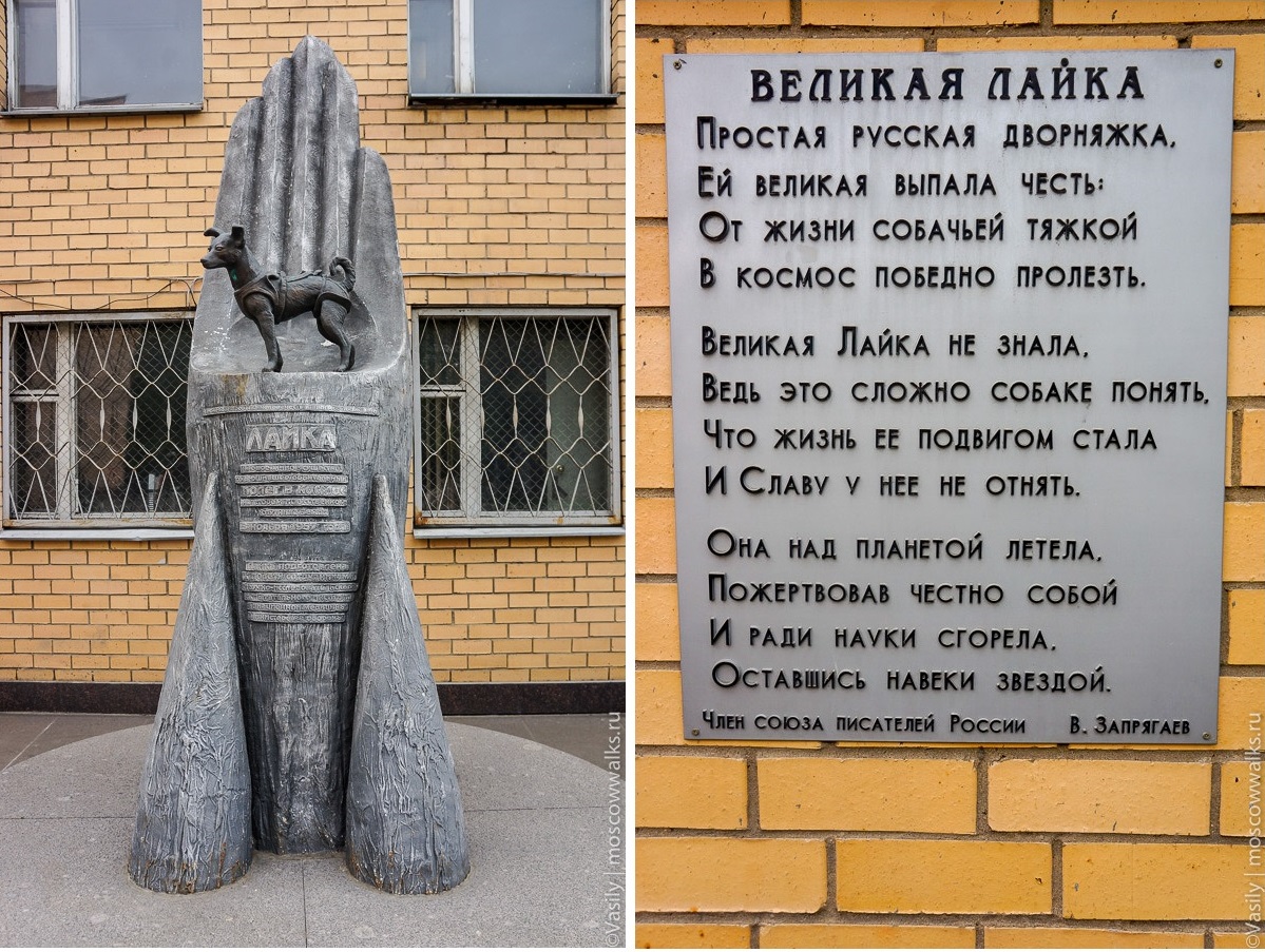 памятник белке и стрелке в москве