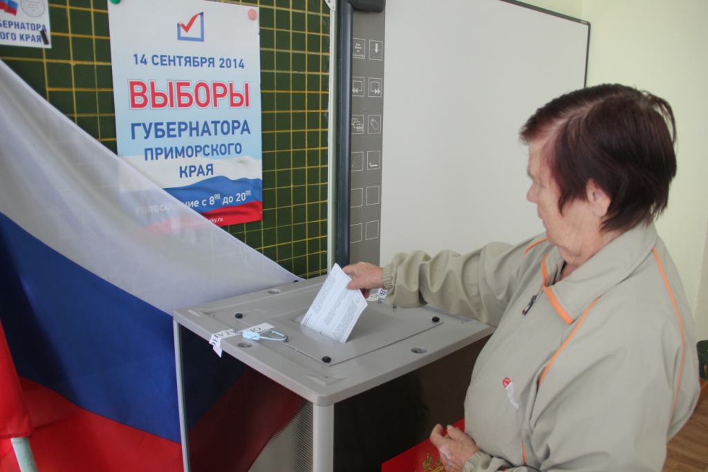 выборы в приморском. выборы. выборы в приморском кра. выборы в приморском. избирательная урна.