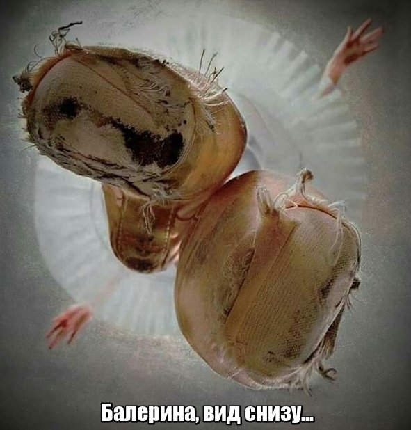 Фотоподборка вторника 27 ноября Фотоподборка вторника 27 ноября