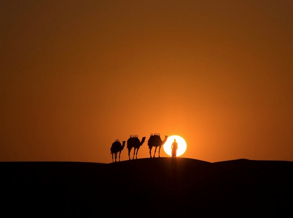 20   National Geographic