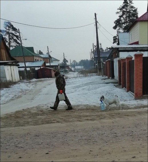 Подборка картинок - смешинок дня 