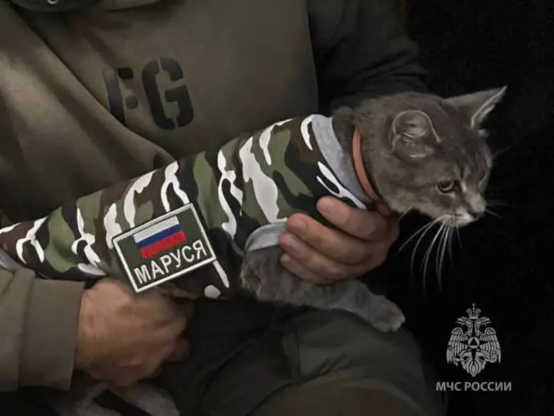 Войска против грызунов: новая проблема в зоне боевых действий Орловская обл,[990952]