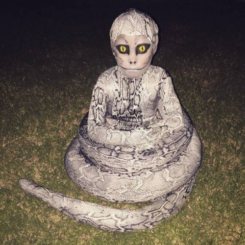 Что здесь происходит?! Что здесь происходит?! приколы,смешные картинки,юмор