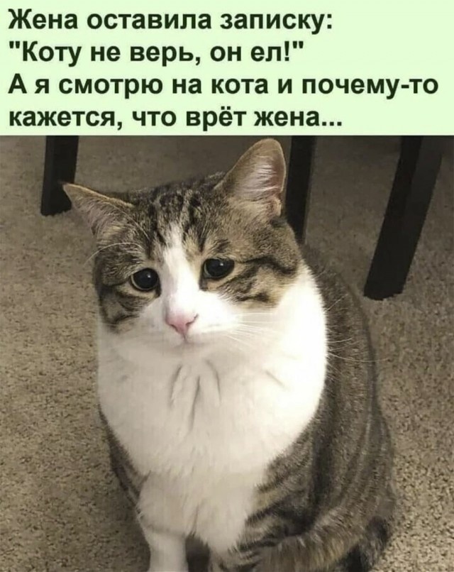 Где тут у вас место для публичного покаяния? Где тут у вас место для публичного покаяния? который, содержанием, страшная, хозяйка, шлангом, ходит, обломилась, понималка, отпала, терпелка, хозяйки, черствая, вдруг, упадетА, столу, тоской, полные, заглянут, подойдут, мискам
