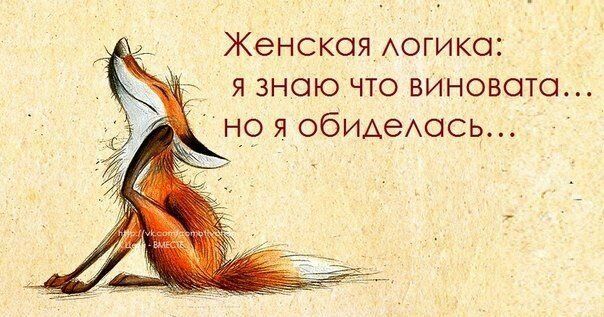 Яркие примеры женского мышления. Смешно и логично Яркие примеры женского мышления. Смешно и логично
