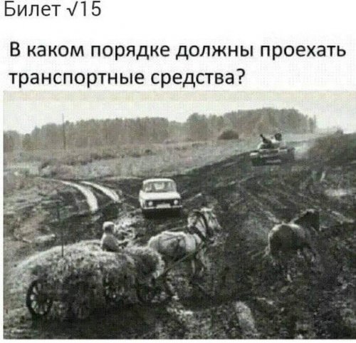 Сборник прикольных картинок 