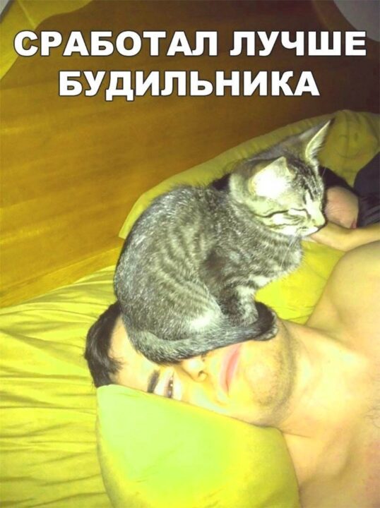 Прикольные открытки для поднятия настроения 