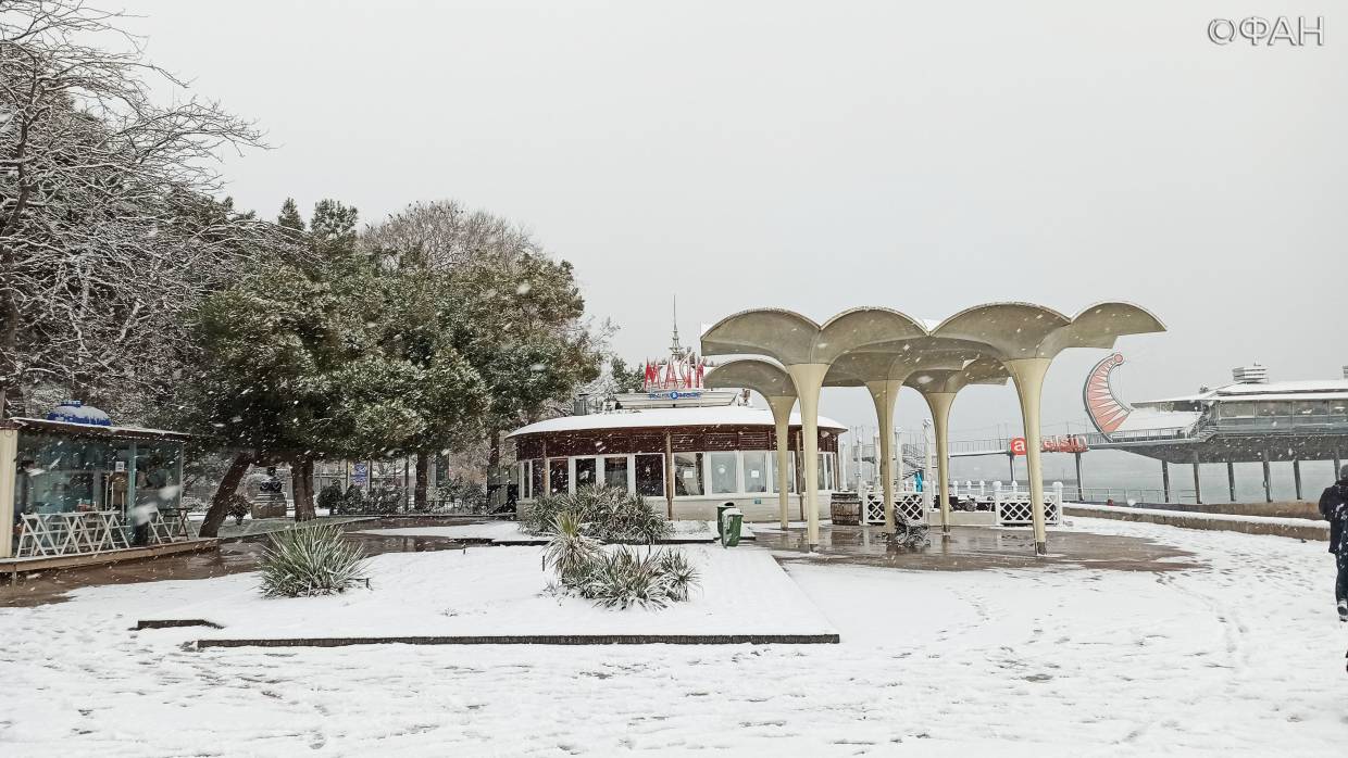 Ялту засыпало снегом: фоторепортаж ФАН Общество