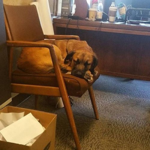 18 человек, которые очень устали и решили сделать паузу mir-interes.info