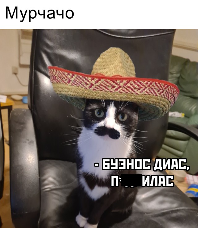 Подборка смешных картинок. Вечерний выпуск Подборка смешных картинок. Вечерний выпуск приколы,смешные картинки,юмор