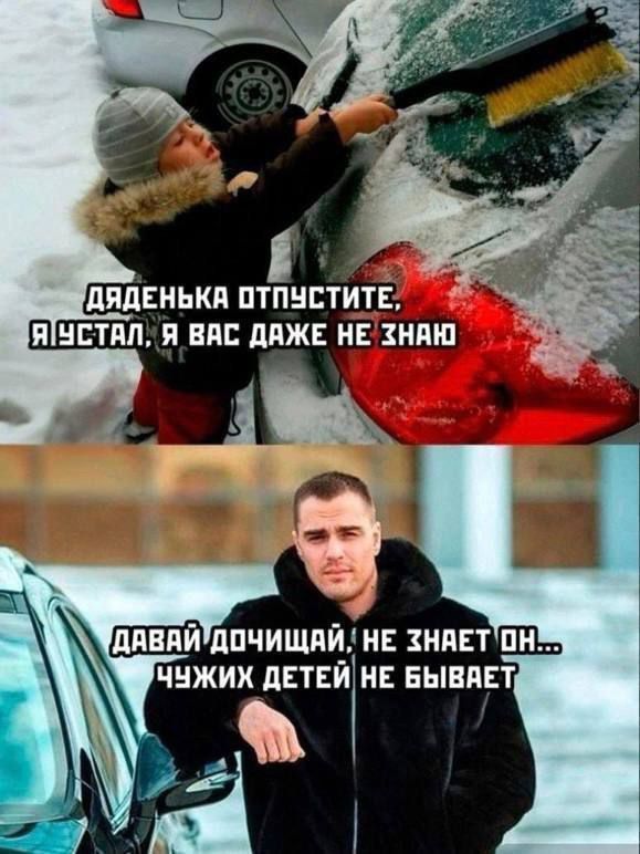 Интернет мемы и кот который не боится пылесоса 