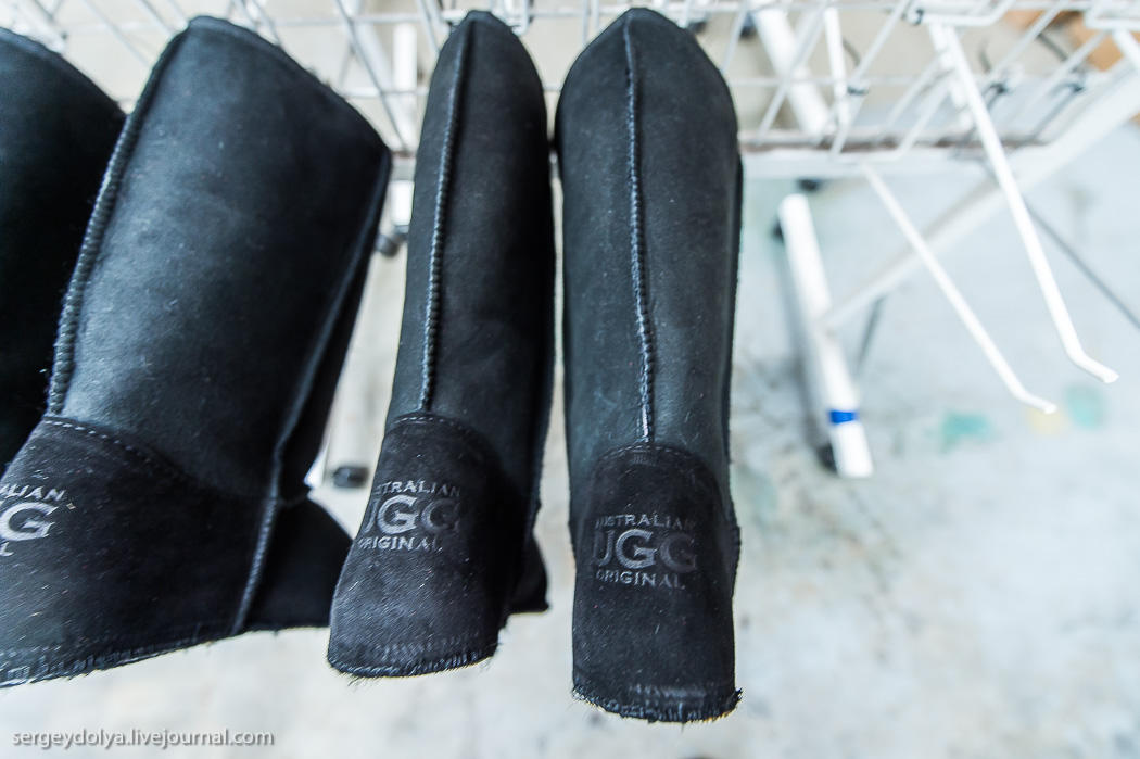 Как делают настоящие угги в Австралии Как делают настоящие угги в Австралии австралия