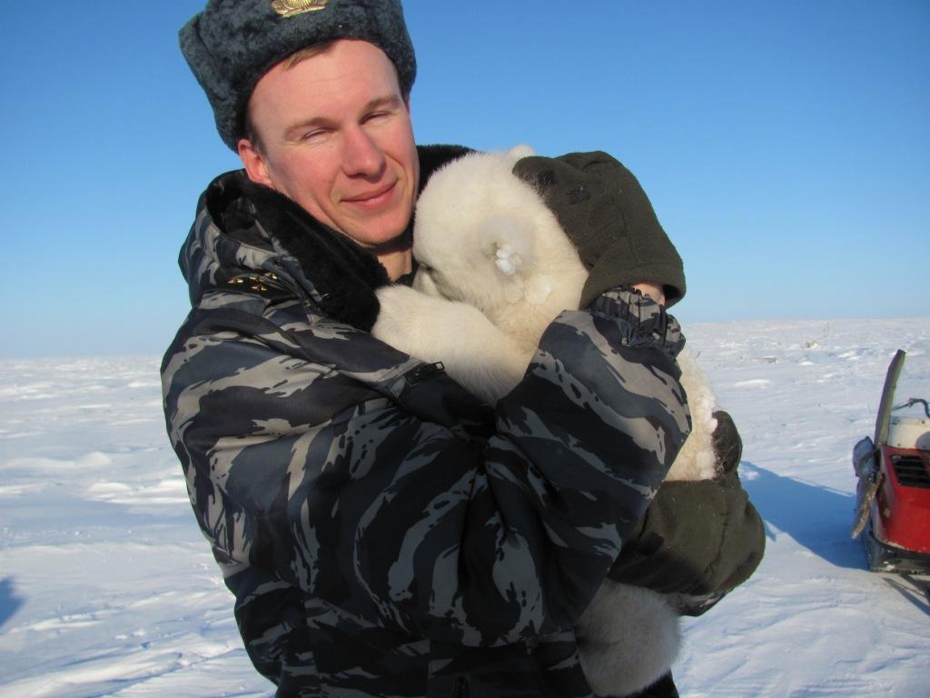 Спасение медвежонка wwf, белый медведь, детки, животные, звери, зверята, малыши, медведи, медвежонок, мимими