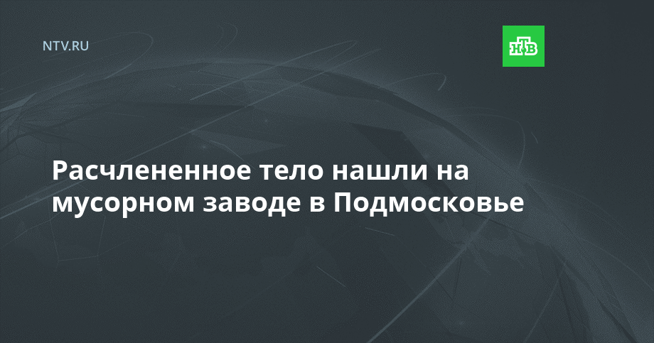 Расчлененное тело нашли на мусорном заводе в Подмосковье