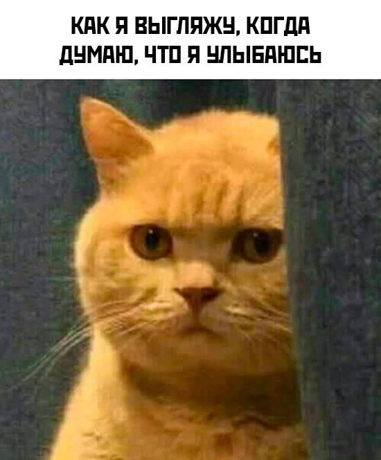 Юмор для тех, кто уже повзрослел и понял, что «бунт» — это лечь спать без чистки зубов Юмор для тех, кто уже повзрослел и понял, что «бунт» — это лечь спать без чистки зубов