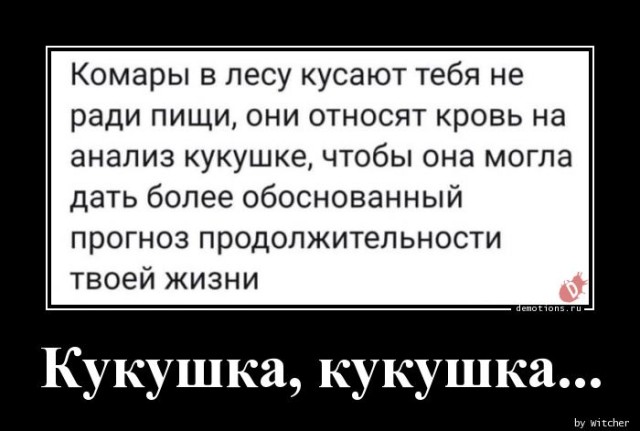 Традиционная коллекция демотиваторов для ценителей приколов и юмора! 