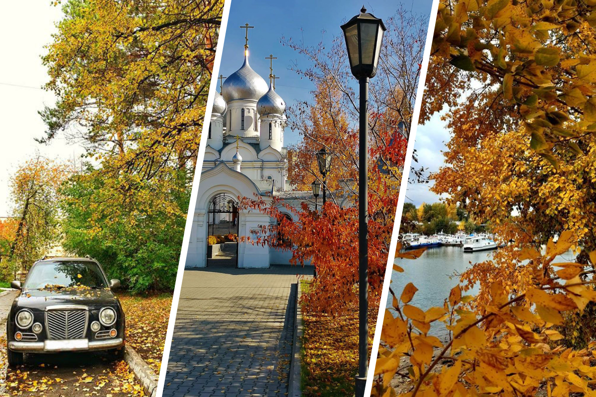 Теплый новосибирск. Новосибирск сентябрь. Конкурс фотографий осень в Новосибирске. Комментарий к фото про осень. Картинка сентября в Новосибирске.