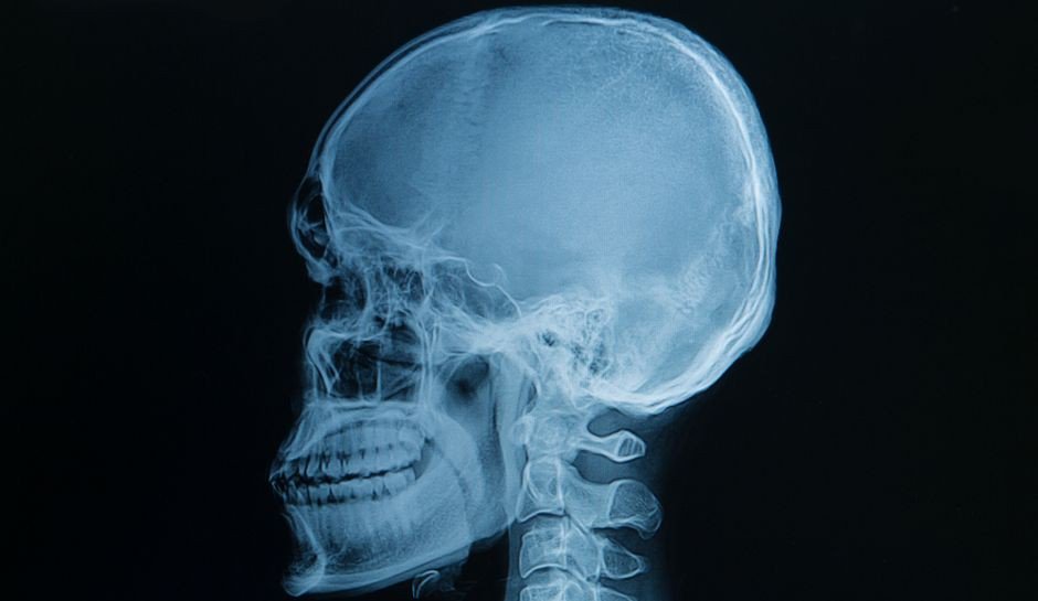 Лучше любого учебника: 20+ изображений об анатомии человека, которые вас удивят