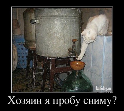 Без кота и жизнь не та Без кота и жизнь не та спасет, животное, спасёт, припёрсси , такую, свободу , хочет , режут, рядом, Потому, слезами , Горькими, плачет , Котэматрёшка Кот, лапки , пострадало , взгляда , планету , последний, Любовь