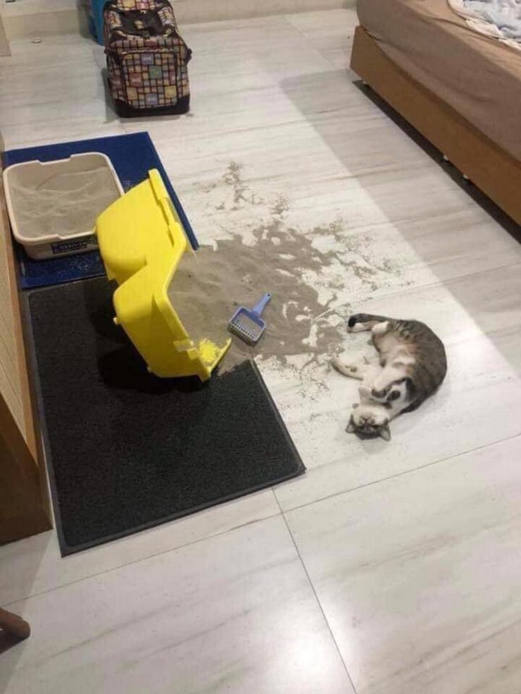 Неприятности случаются. И смешно, и плакать хочется! Неприятности случаются. И смешно, и плакать хочется!