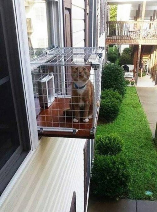 Свежие прикольные фото и картинки 