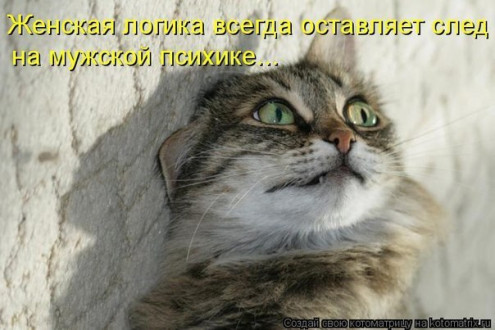 ЖИЗНЬ ЖИВОТНЫХ  Сначала, милота, настроения             , жизненные, ситуации                                                               