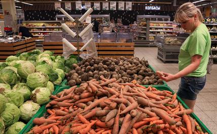 Картошка, морковка, свеколка, лук дешевле не станут россия