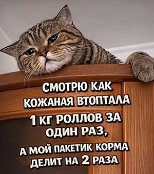 Дневник кота Василия апреля, марта, Вчера, потом, Хозяин, хозяйка, Сегодня, вчера, попугайчика, шторы, потому, вернулся, сразу, шкафа, нельзя, логика, логики, разрыдалась© , средневековое, мракобесие19