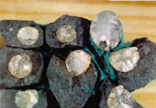 ОТКРЫТИЕ КРЕМНИЕВОЙ ФОРМЫ ЖИЗНИ  НА ЗЕМЛЕ  