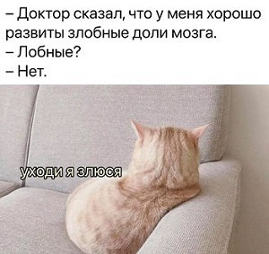 Дневник кота Василия апреля, марта, Вчера, потом, Хозяин, хозяйка, Сегодня, вчера, попугайчика, шторы, потому, вернулся, сразу, шкафа, нельзя, логика, логики, разрыдалась© , средневековое, мракобесие19