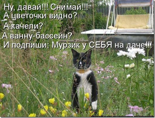 Мой рекорд на стометровке - 50 метров! Мой рекорд на стометровке - 50 метров! анекдоты,веселье,демотиваторы,приколы,смех,юмор