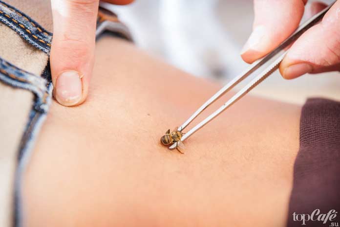 Пчелиный яд