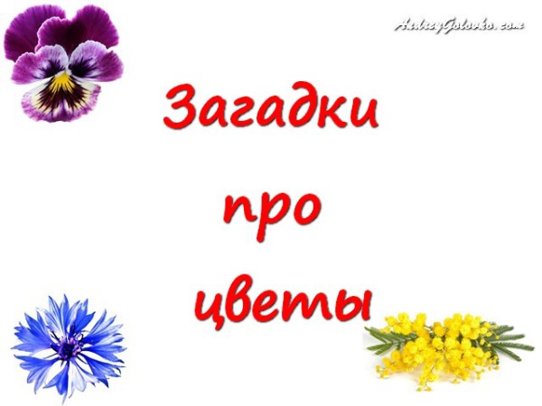 Про букет цветов загадки