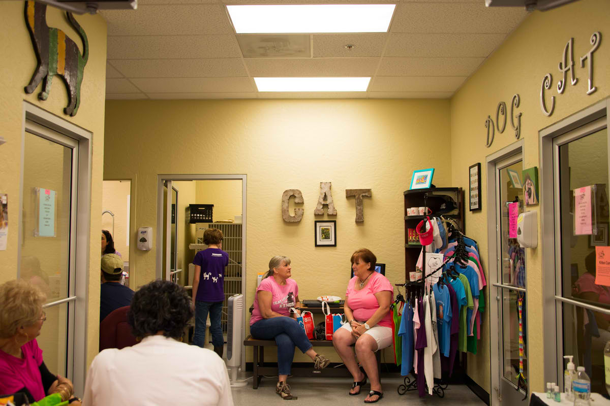 Самый большой приют для кошек и собак