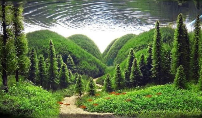 Искусство аквариумистики — удивительные подводные пейзажи - похожая новость на Toplenta