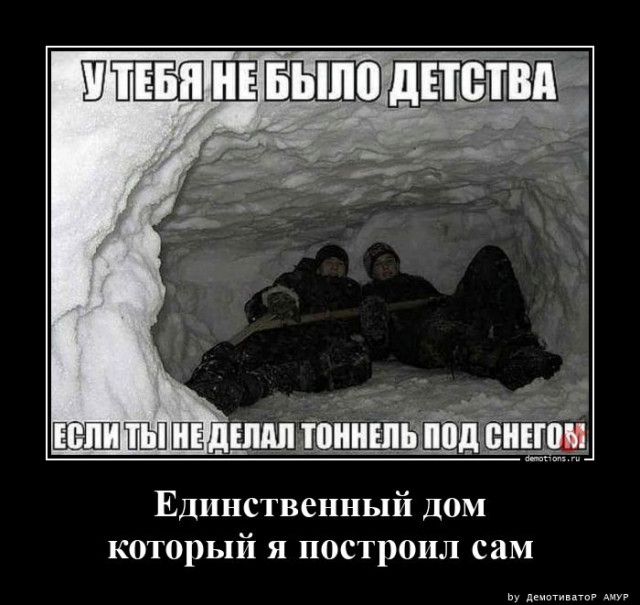 Очередная коллекция демотиваторов для вашего прекрасного предпраздничного настроения! 