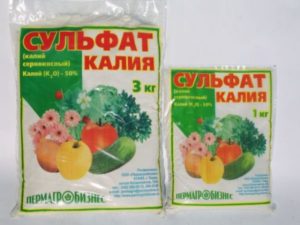 ÐÐ¾Ð´ÐºÐ¾ÑÐ¼ÐºÐ° ÑÑÐ»ÑÑÐ°ÑÐ¾Ð¼ ÐºÐ°Ð»Ð¸Ñ