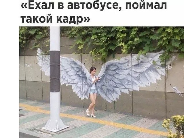 Отличная подборка юмора в картинках для поднятия настроения 