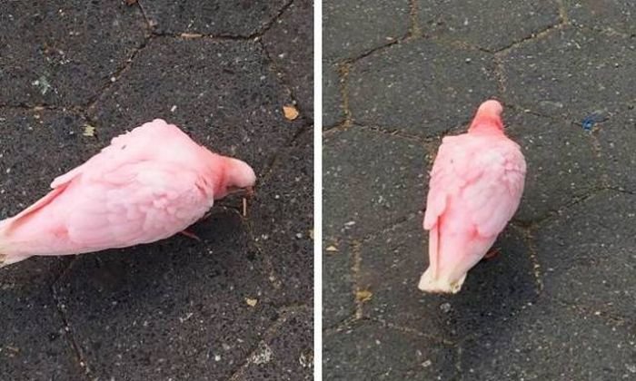 Скажите, что здесь происходит?