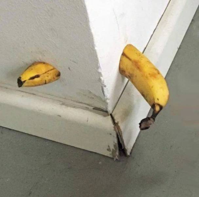 Что-то тут не так Что-то тут не так смешные картинки