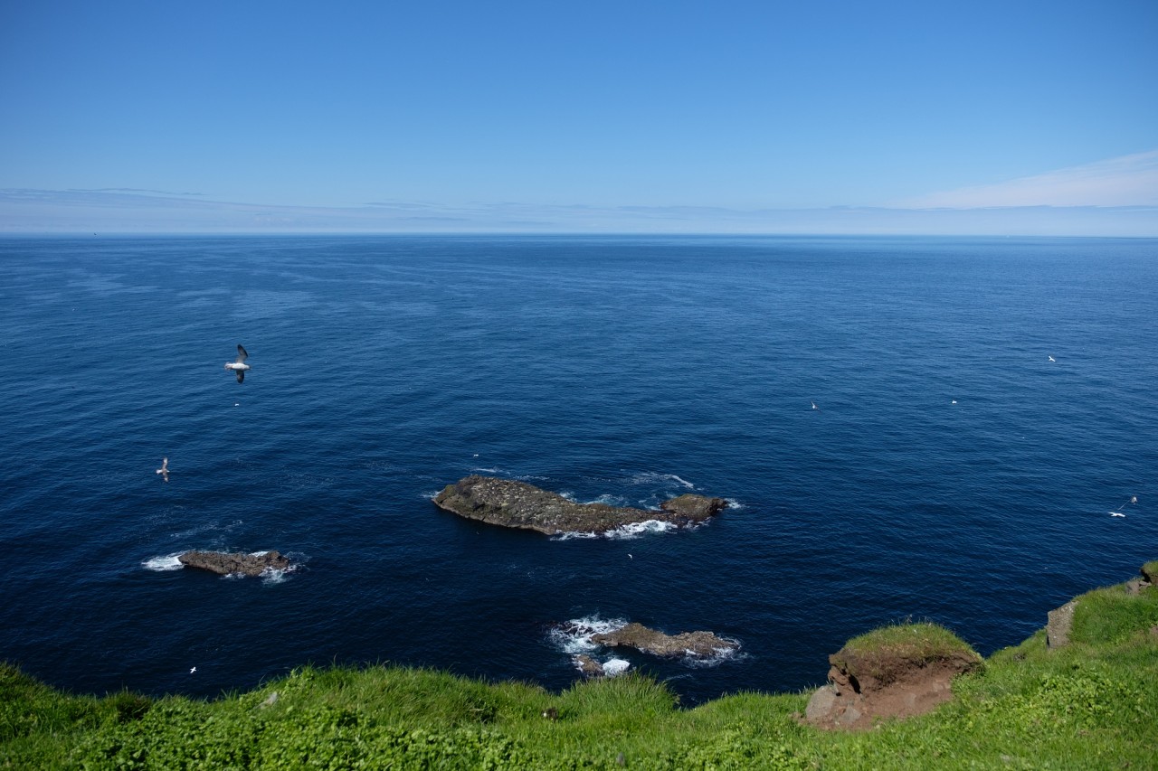 Необычные места, которые стоит посетить: Фарерские острова