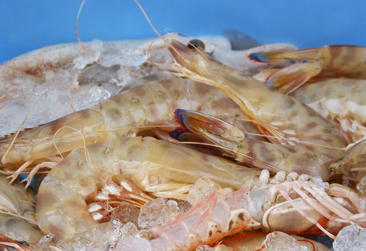 Турецкие креветки